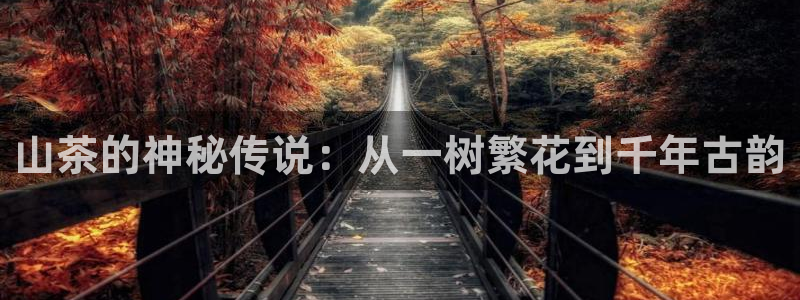 安信12娱乐招商探索空间