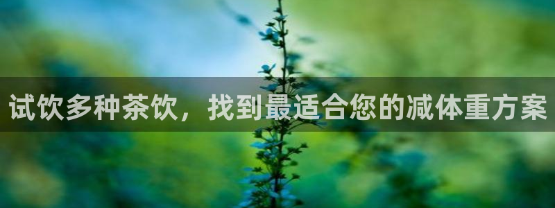 奇安信12流转场