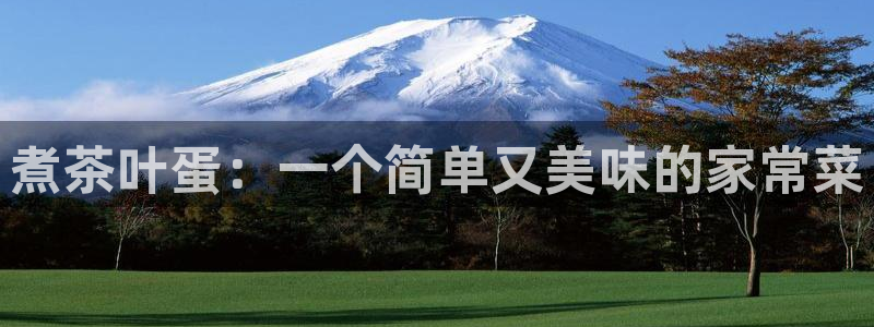 奇安信12流转场