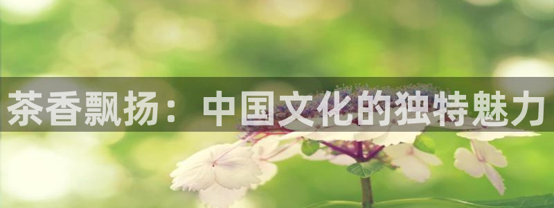 安信12如何开代理