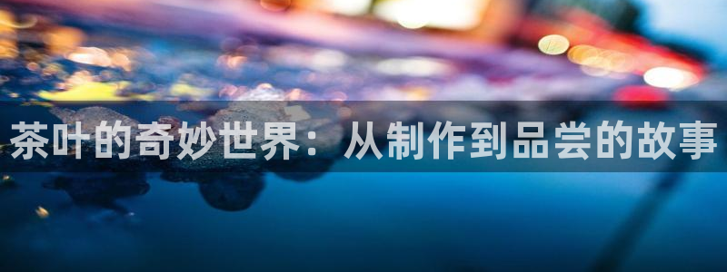 安信12是做什么