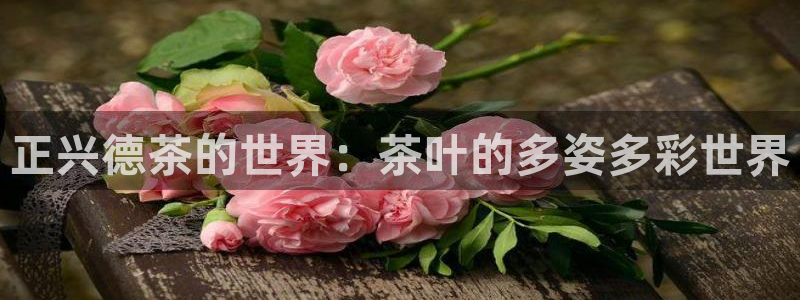 安信12是正规还是仿