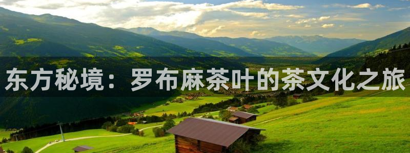 安信12专用挂机