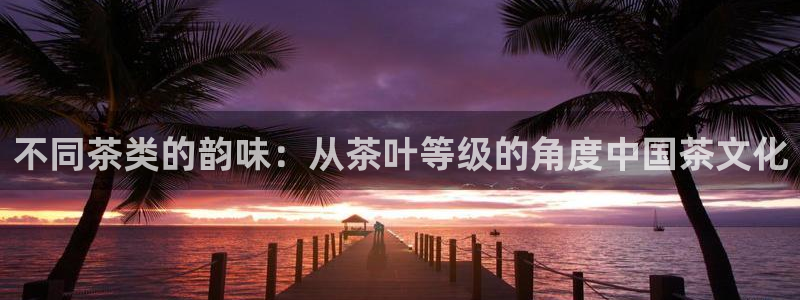 安信主管su金12手12指tq