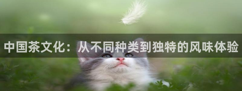 安信12娱乐登录