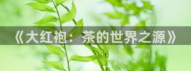 安信12平台可靠吗