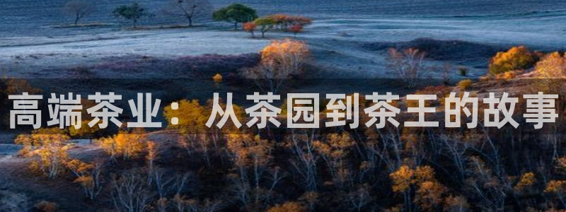 安信12是什么平台