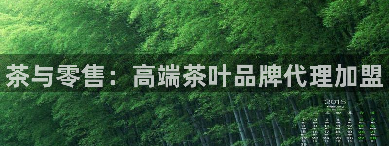 安信12平台怎么样