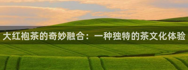 安信12官方网站查询