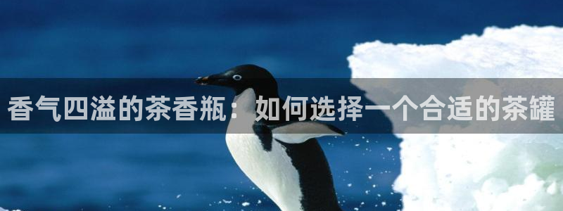 安信12注册登录下戴