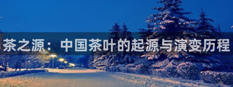 安信锐赢134号12月