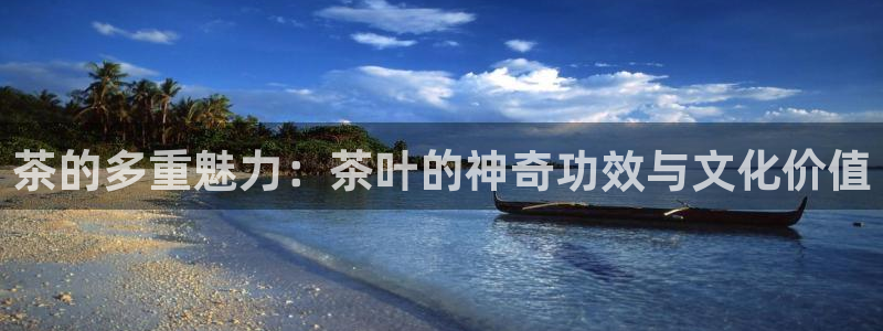 安信12平台的网址