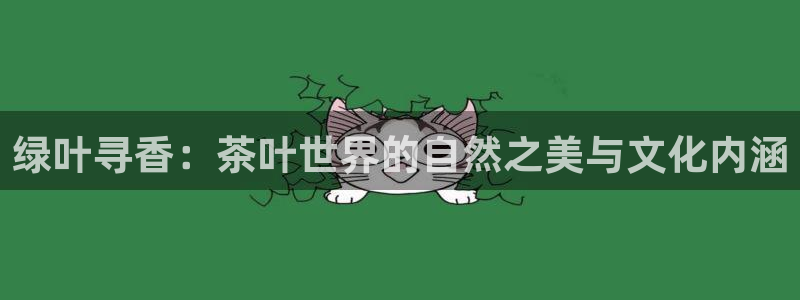 安信12位资金账号