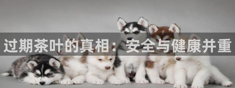 安信12娱乐注册