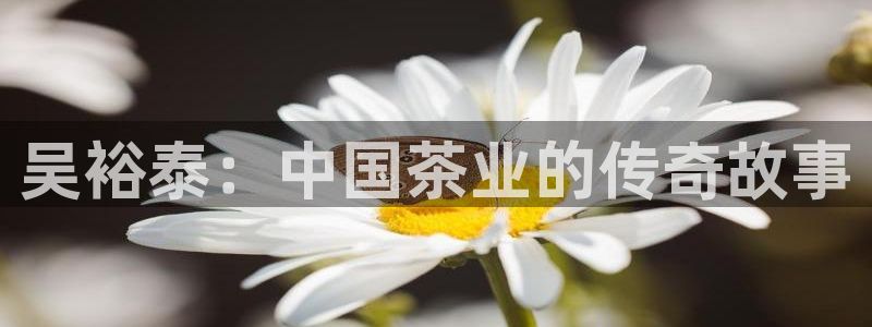 安信可12f
