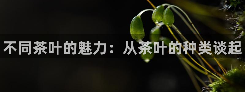 安信安翼 12账号