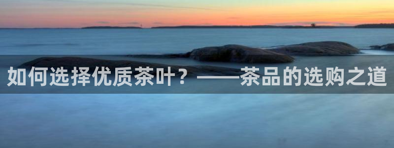 安信12官方下载