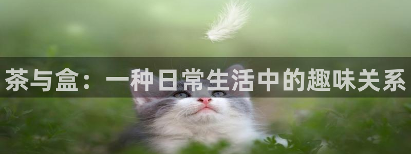 安信12平台可靠吗