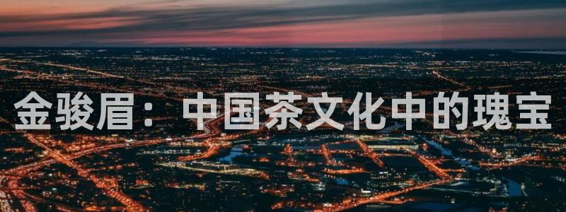 安信12是正规还是仿