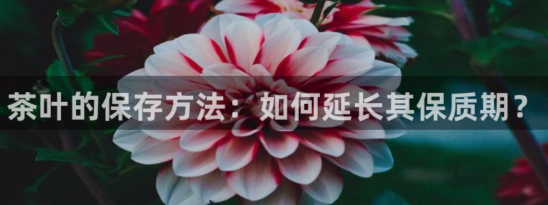 安信12彩票在线网址