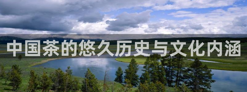 如何注销安信12软件