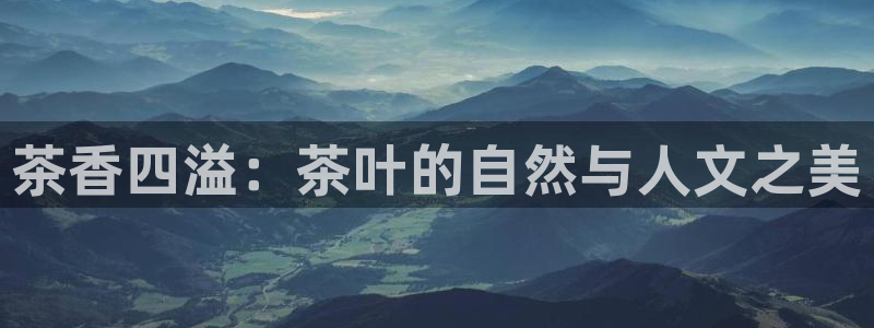 安信122853179Z空间