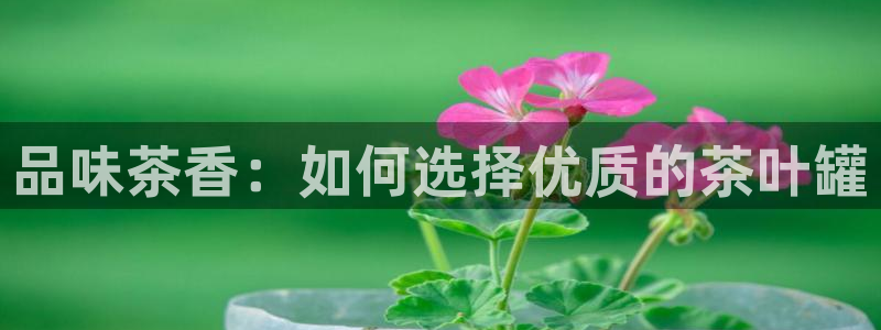 安信12娱乐登录网页