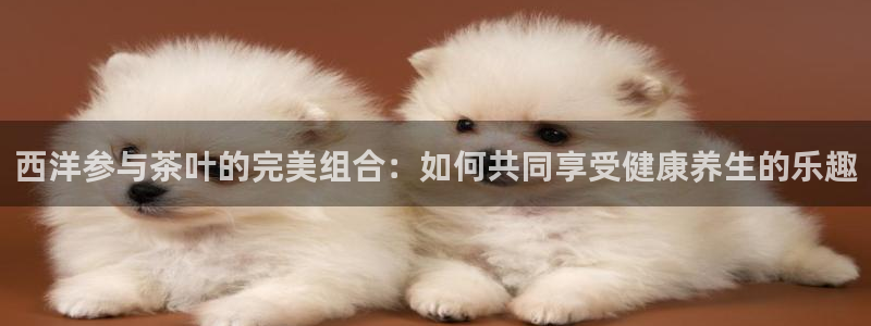 安信主管su金12手12指tq