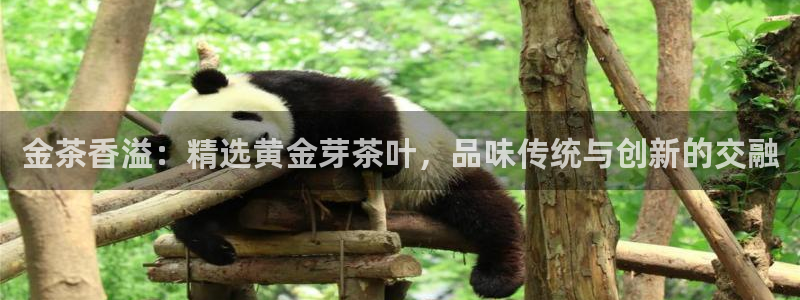 安信12正版下载