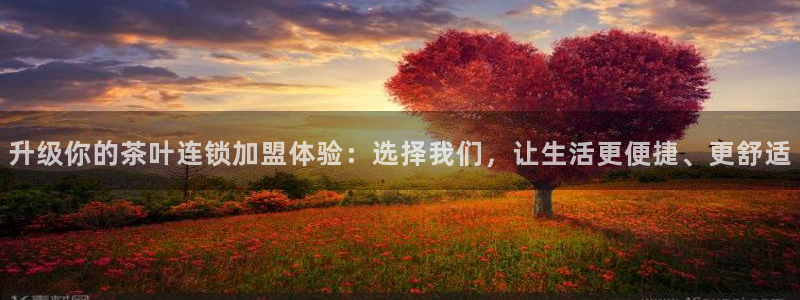 安信锐赢134号12月