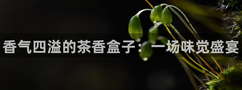 安信12平台可靠吗