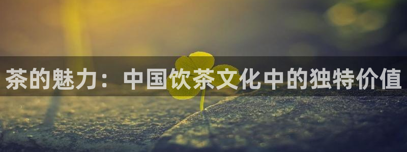 安信12娱乐代理