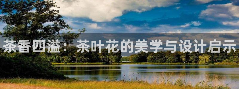 安信12平台注册