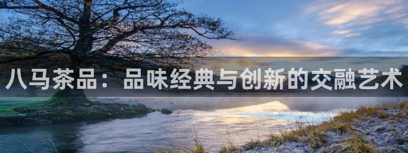 安信12级粉丝团福利