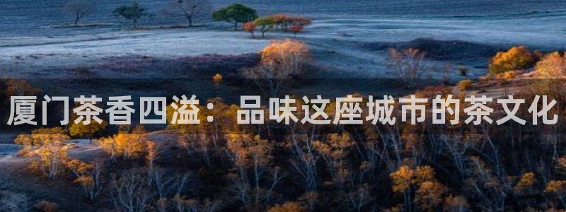 奇安信12流转场