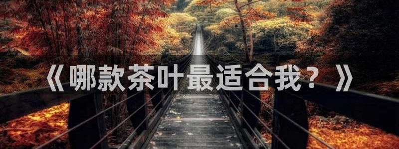 安信12级粉丝团福利