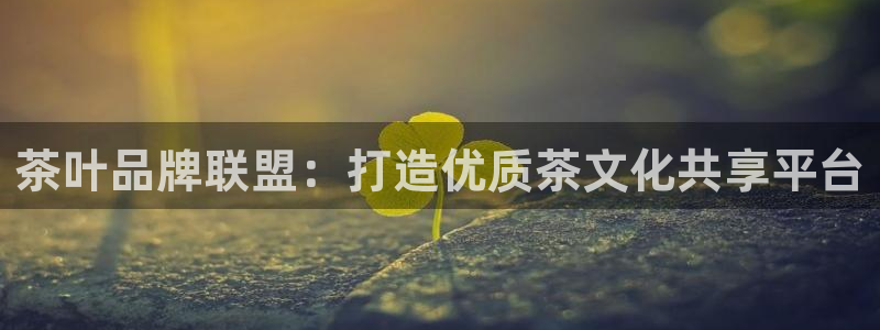 安信12官方网站查询