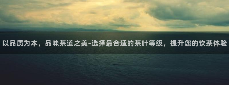 安信主管su金12手12指tq