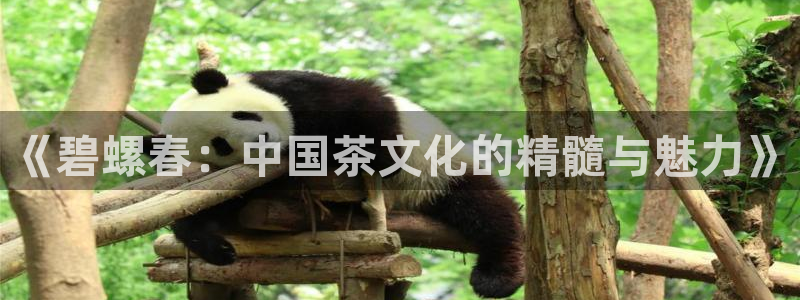 安信12是正规平台吗