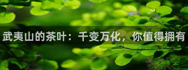 安信12登录地址