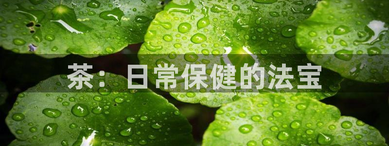 安信12平台下载