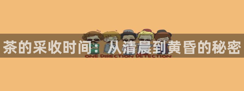 安信12周年庆典