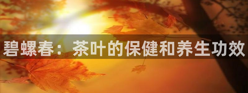 安信12娱乐登录