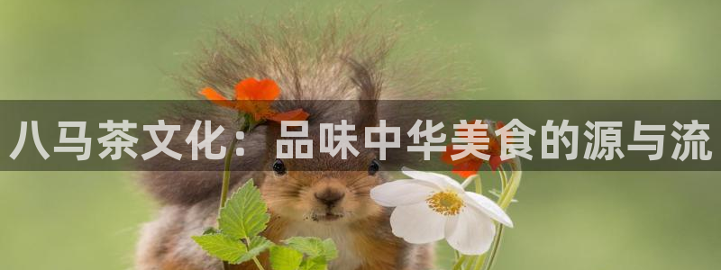 安信12是什么平台