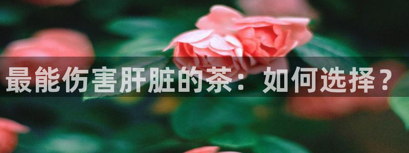 安信12是什么平台