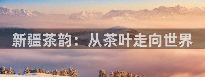 安信12平台官网