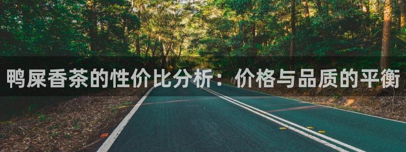 安信12官方网站查询