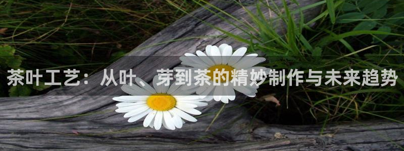 安信12如何开代理