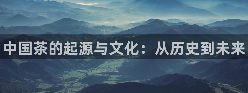 安信cw12系列