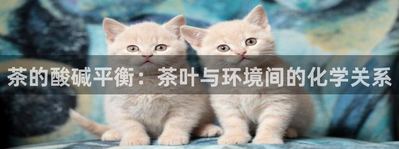 安信可12e12f